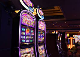 5win bet