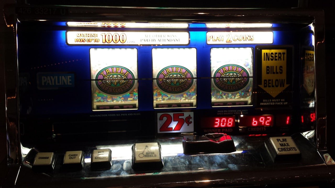 5win bet