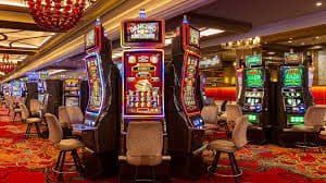 5win bet